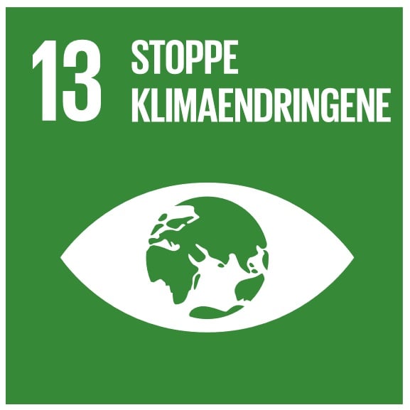 Bærekraftmål 13