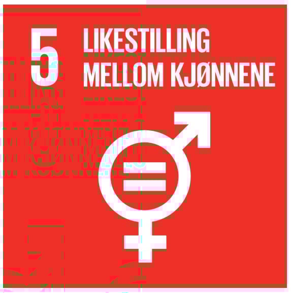 Bærekraftmål 5